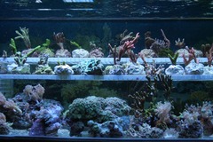 Killikus&reg; Fotographie